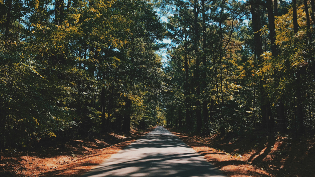 Rural service road in East Texas where RNC Mobile Equipment Services provides mobile mechanic support